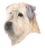 Wheaten Terrier Small Calendar Holder
